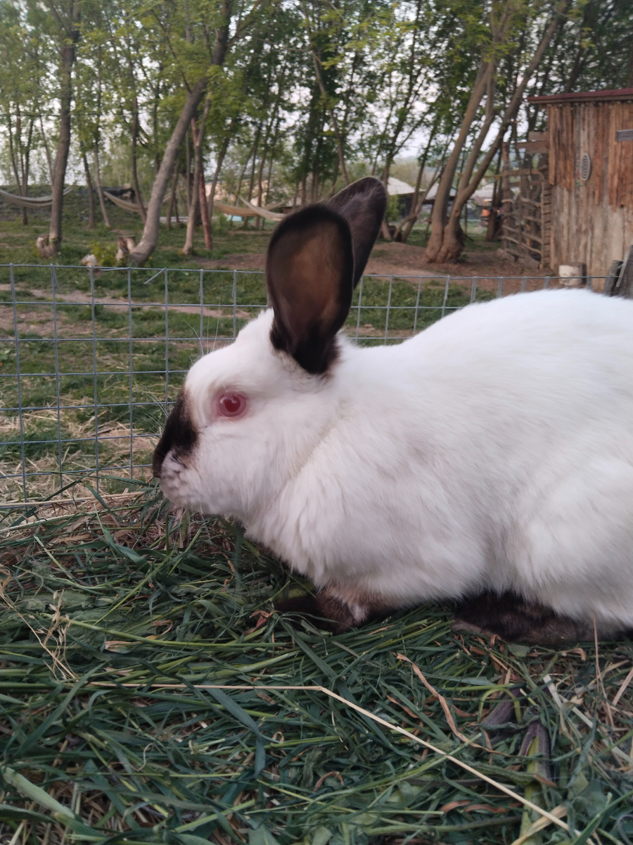 Наша Плюшка❤️ Фото автора 