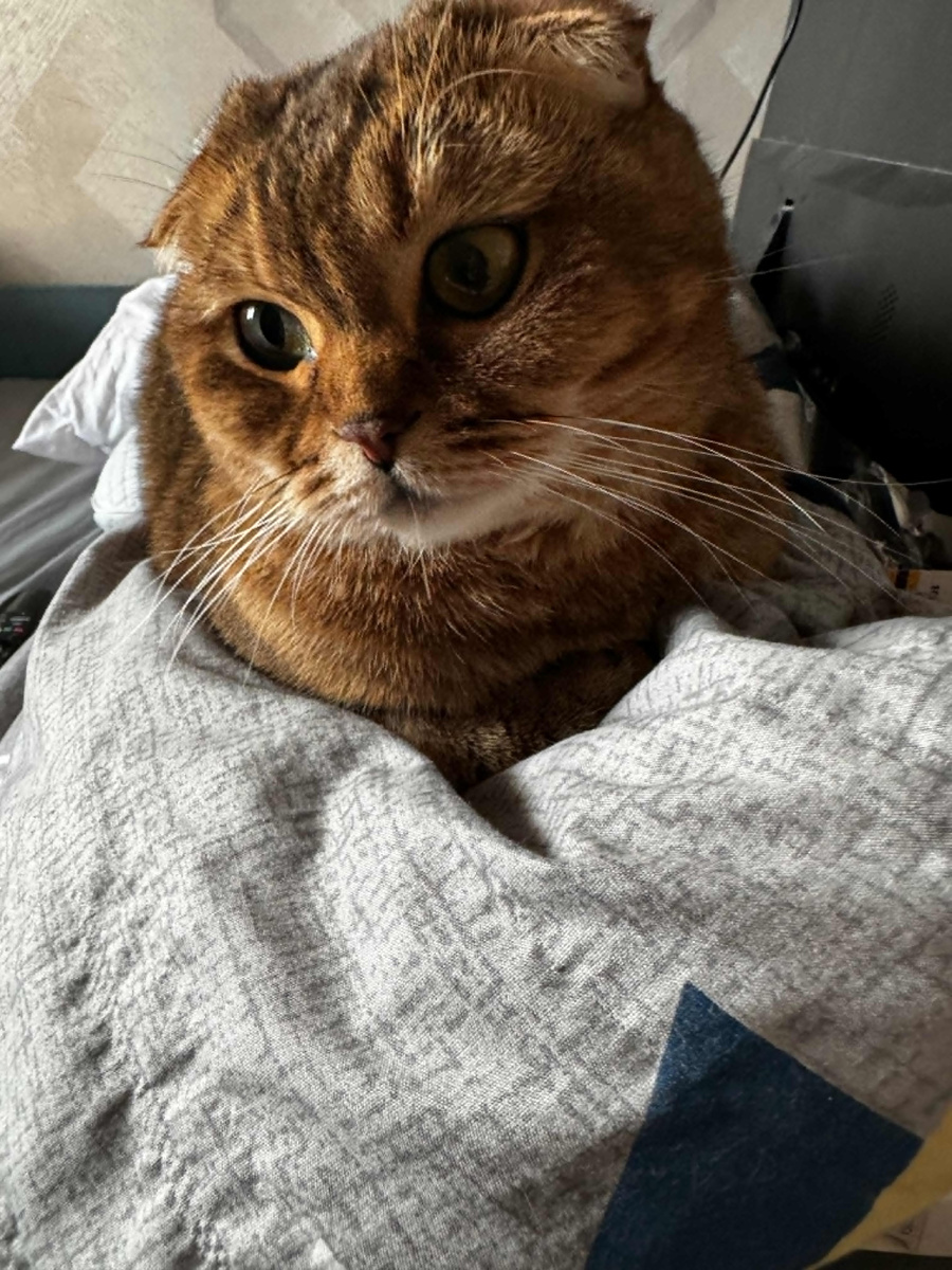 Из личного архива