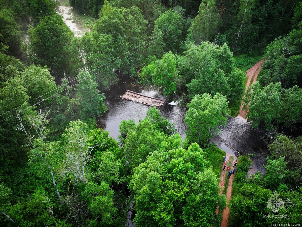 Фото: пресс-служба ГУ МЧС России по Псковской области