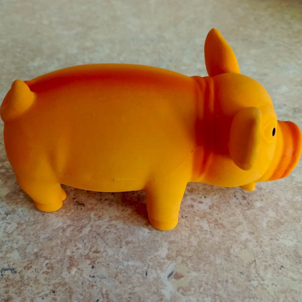 Крепкая свинка