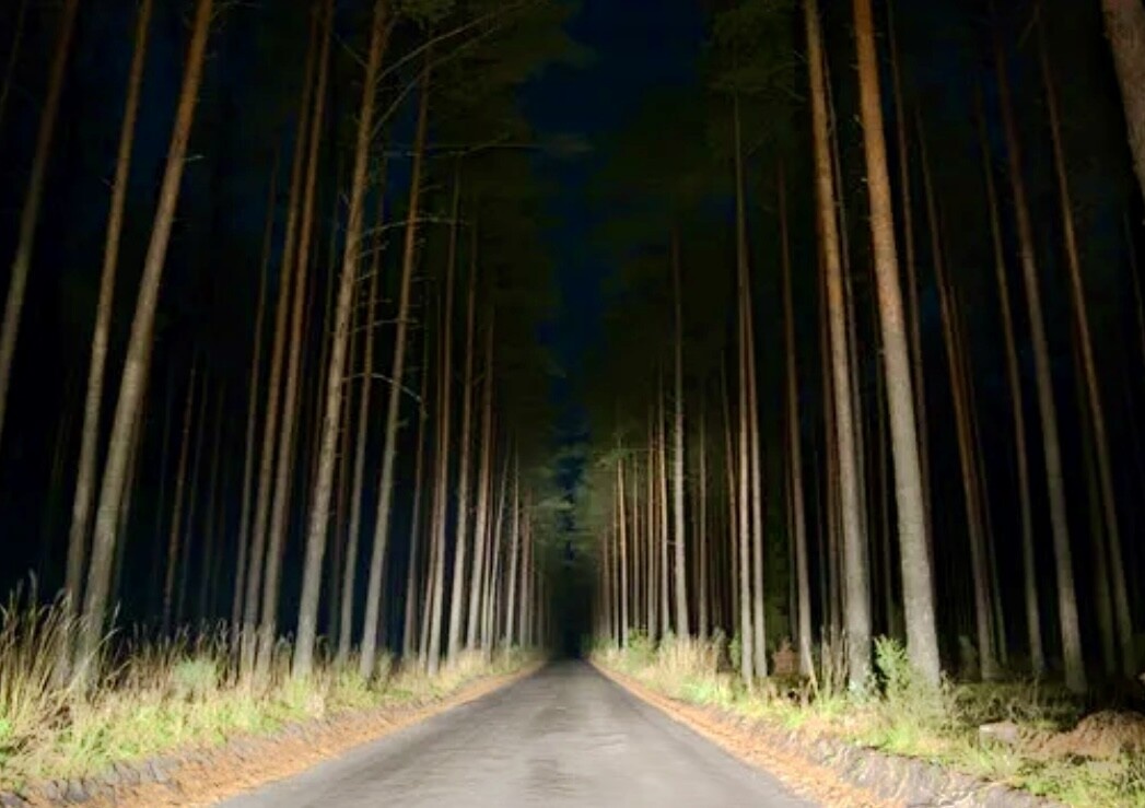 Очень люблю ночную дорогу