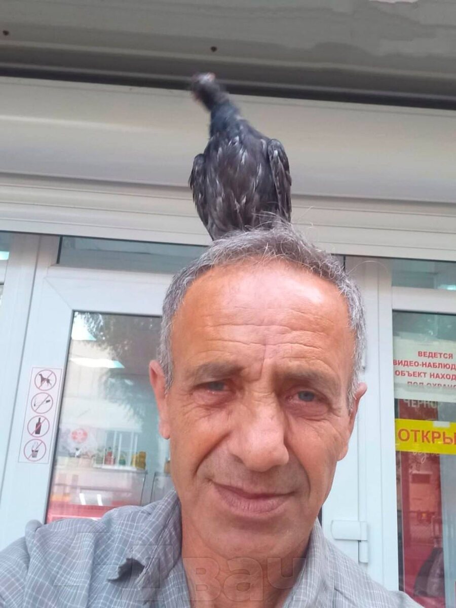 Армен Зачатрян, зоозащитник, погиб при атаке дронов в Воронеже