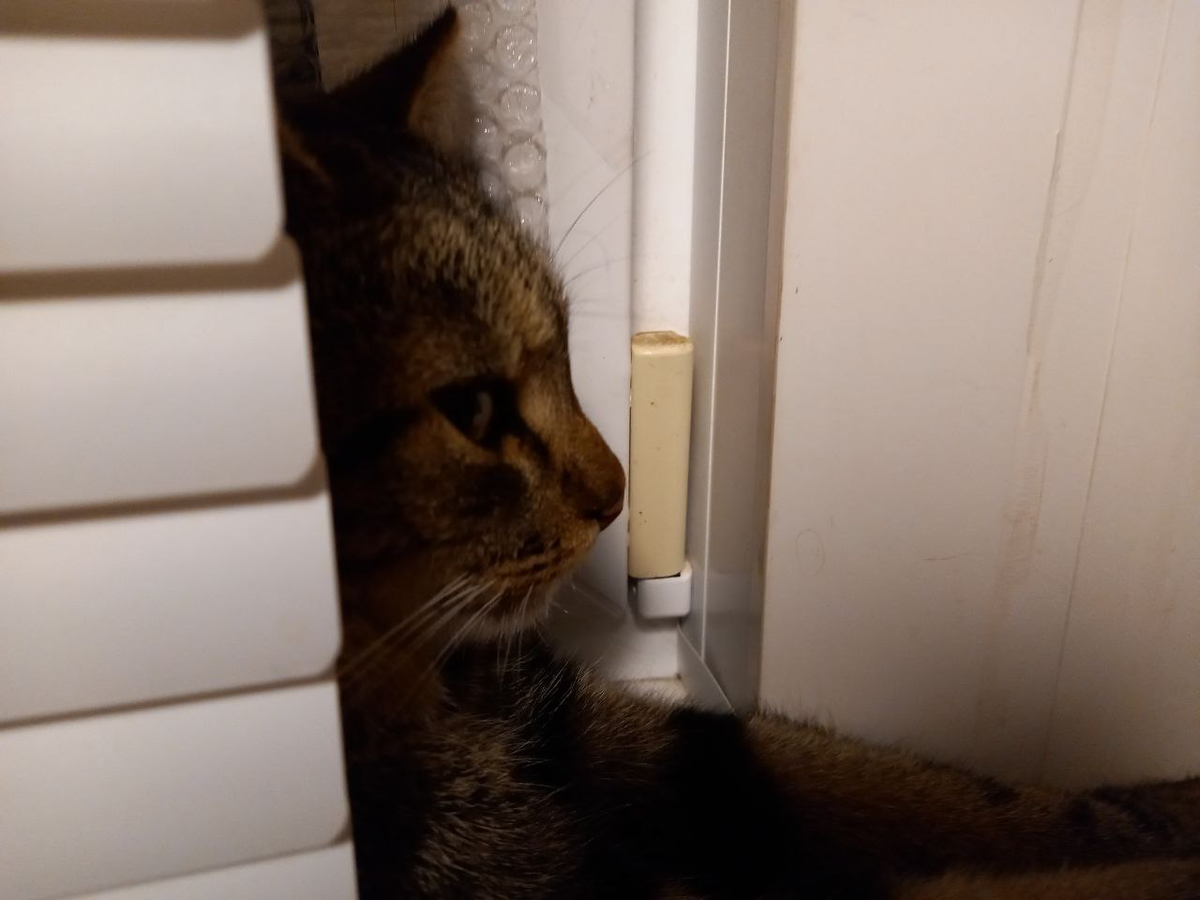 Плюх, Плюша, Плюшик