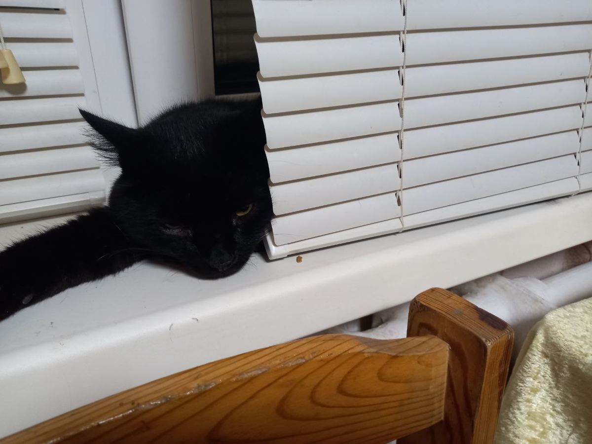 Кусь, Кусик, Кусидзе