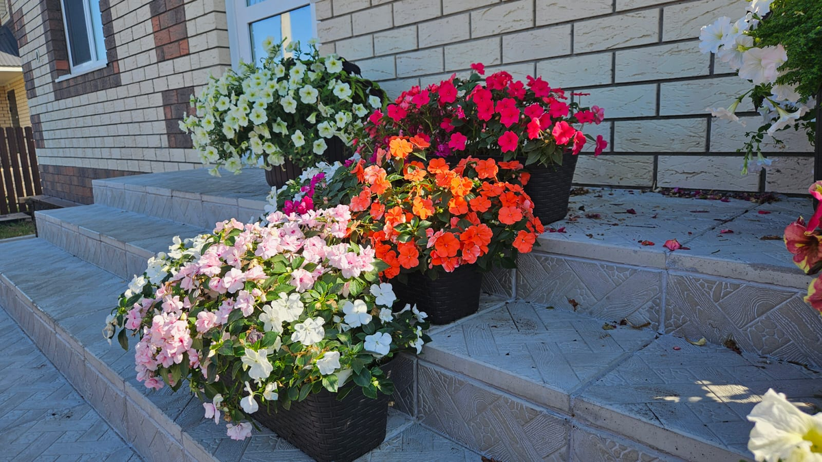 А вот эти 3 ящика - украшают крыльцо