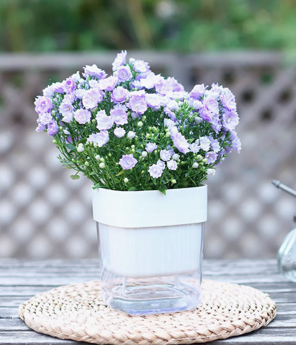 Интересное прозрачное основание на 300 мл. Горшок на 1 литр — 263673767