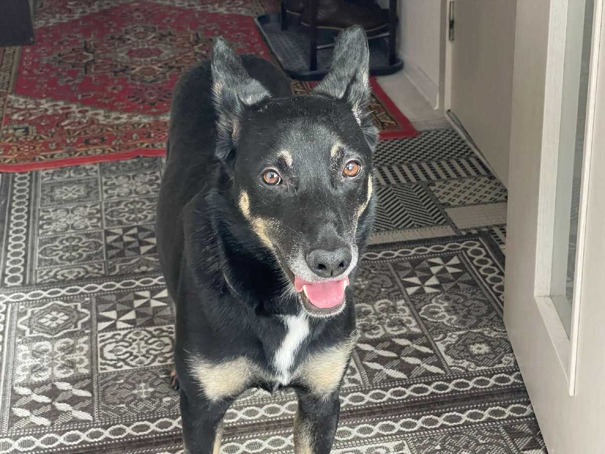 Да-да, если что, то это я! 😉