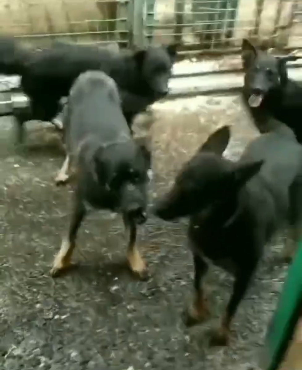 Вот тут я вместе с ними. Знаю, кадр так себе, но хоть как-то нас вместе сняли 😅