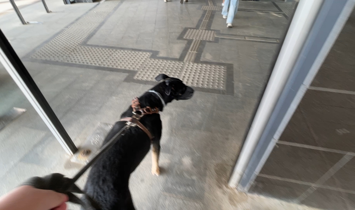 Это я как раз иду туда, где потом попадаем к электричке. Надеюсь, понятно объяснил 😅?