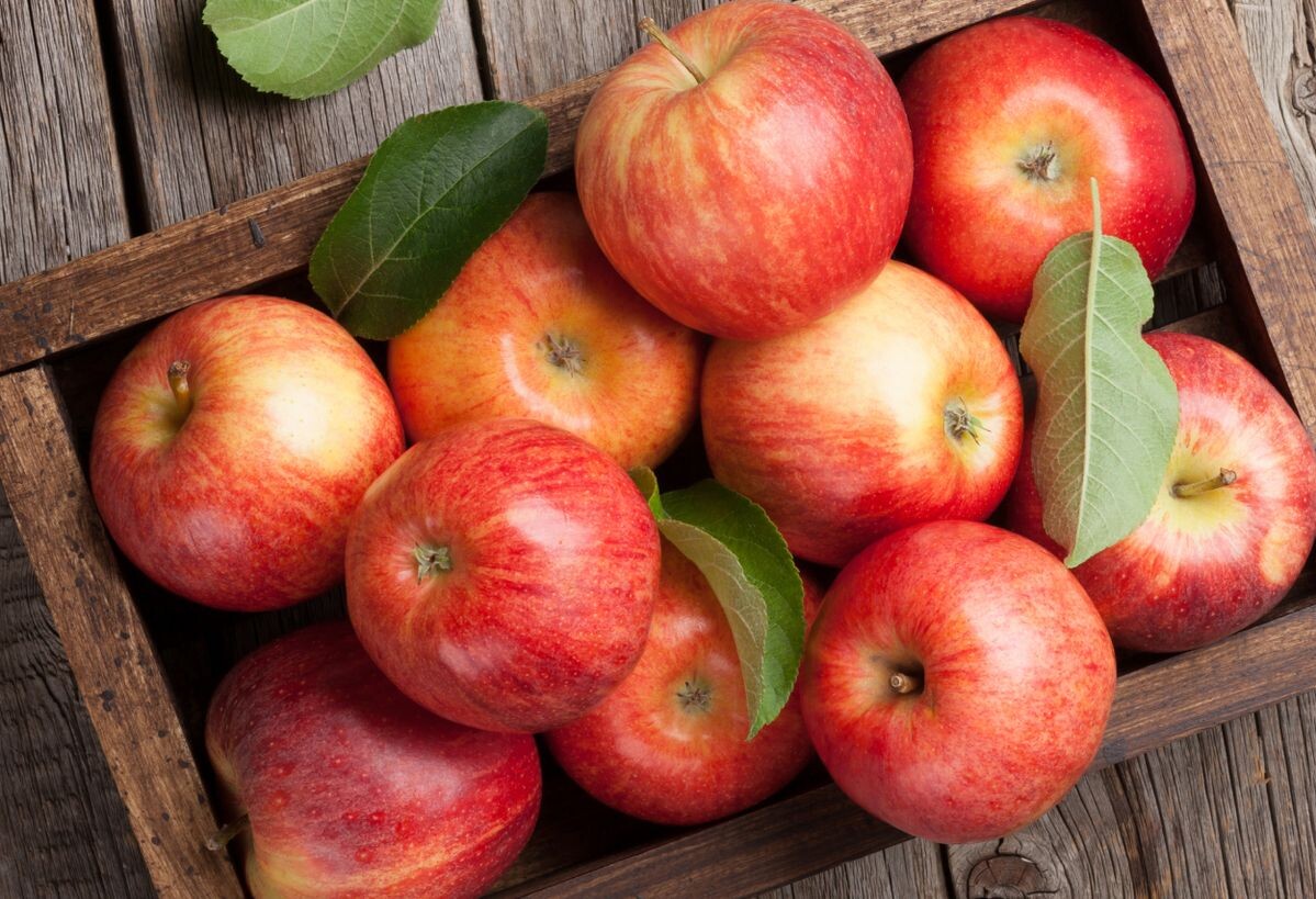 Рецепт моченых яблок