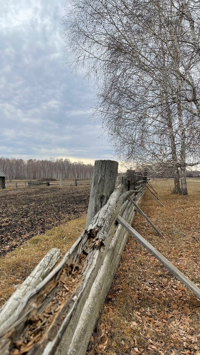 Грустный пейзаж. Фото автора. 