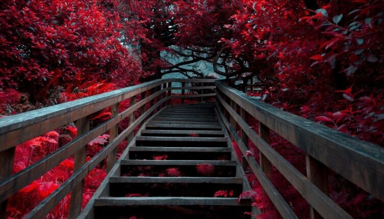     Фото: Alexandra Nicolae on Unsplash