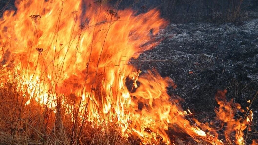    фото: Администрация г.о. Чита