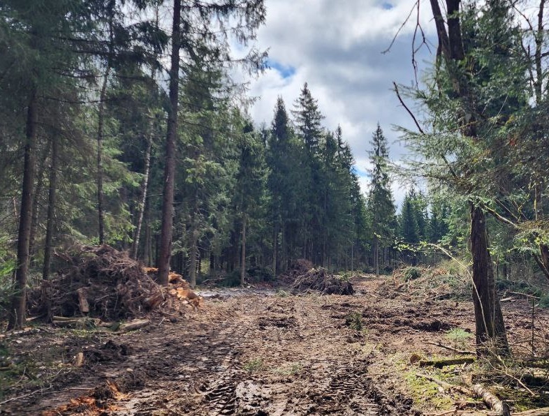 Фото: Экооборона Московской области