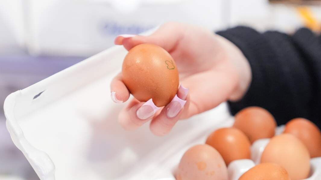    Фото: ИЗВЕСТИЯ/Эдуард Корниенко