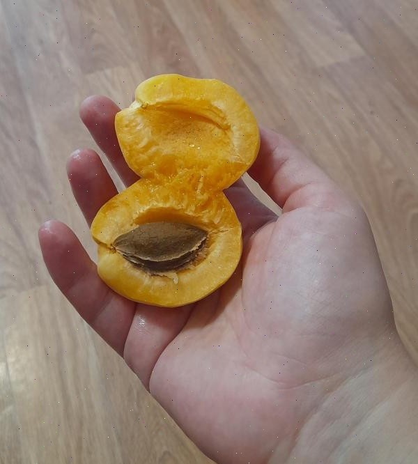 Буду честна - переспевшие абрикосы я готова есть и в "первозданном" виде. Очень уж вкусно.