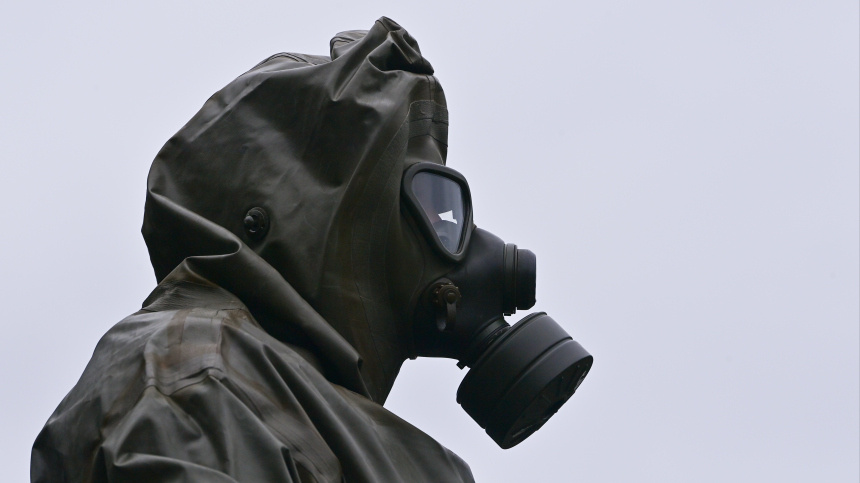    Фото: www.globallookpress.com/Patrick Pleul; 5-tv.ru