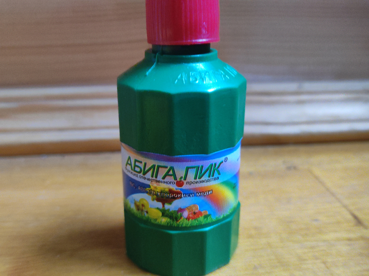 Фото автора, фунгицид Абиго-Пик, июль 2025 года
