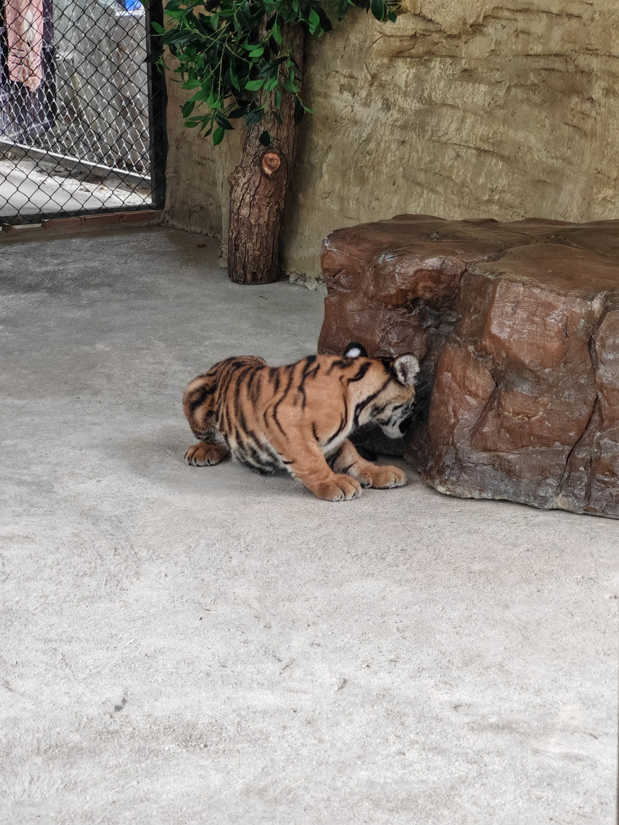 Фото автора.