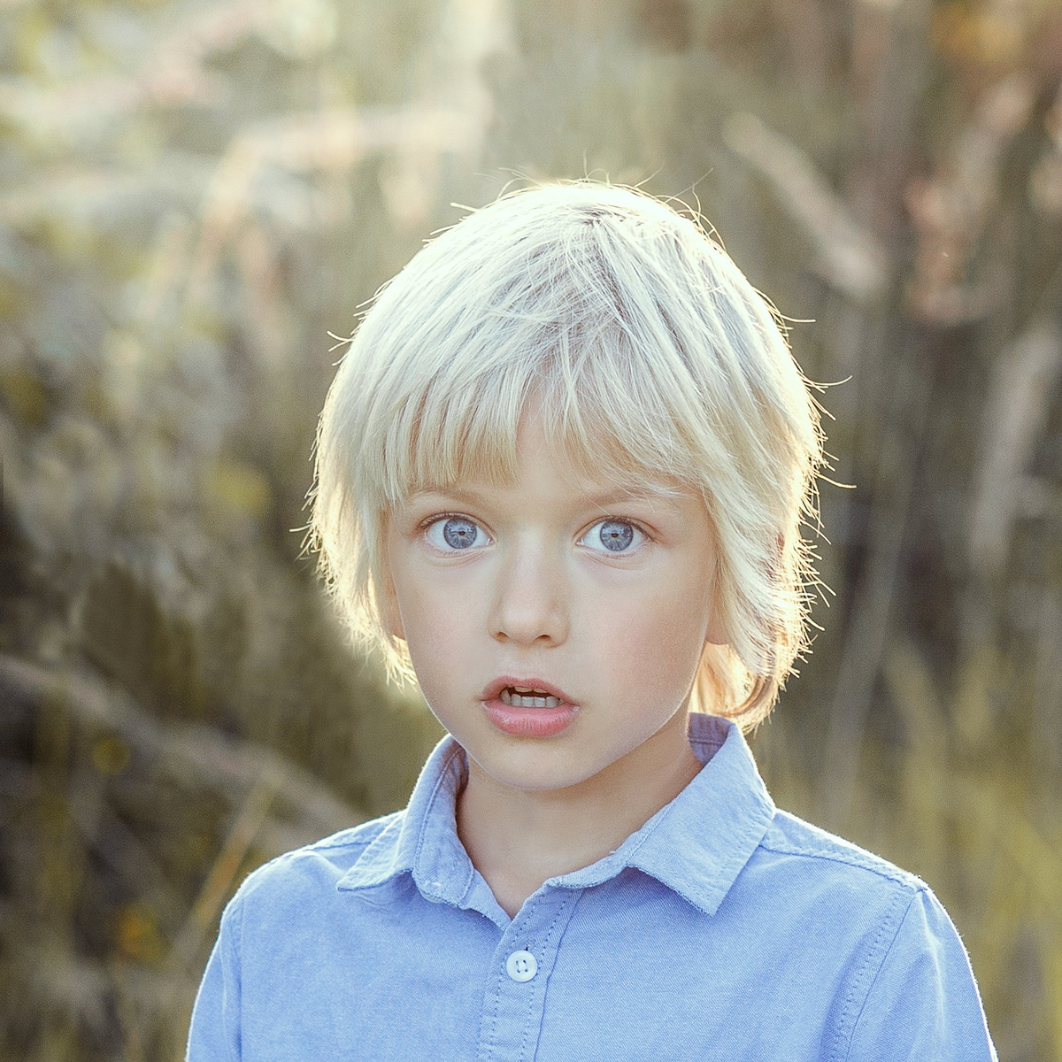 ФОТО ЯНДЕКСА