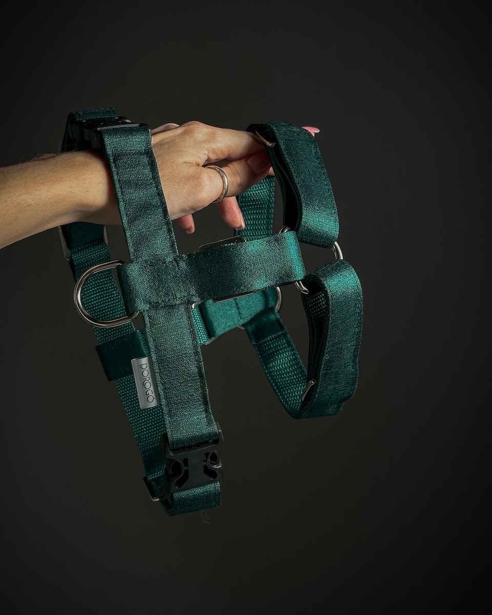 Стильная анатомичная шлейка