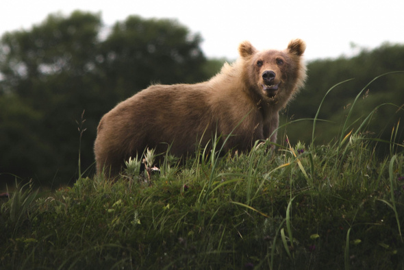     Alex Panarin/Unsplash