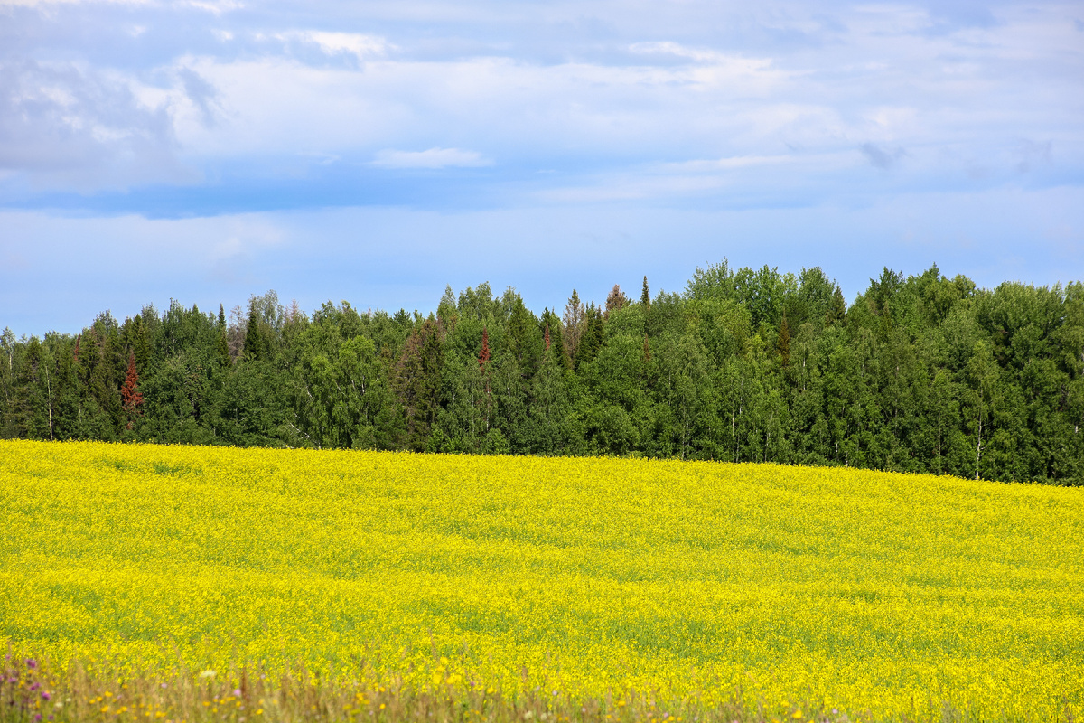 Фото: Svetlana Vozmilova/Global Look Press