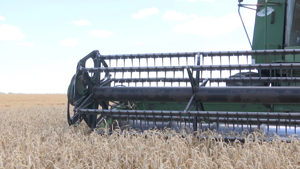    Фото: Царьград