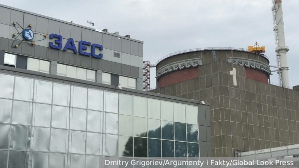     Фото: Dmitry Grigoriev/Argumenty i Fakty/Global Look Press   
 Текст: Антон Антонов