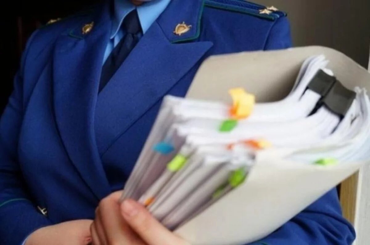    Прокуратура Камчатки проверит фирму в связи с нападением медведя на женщину
