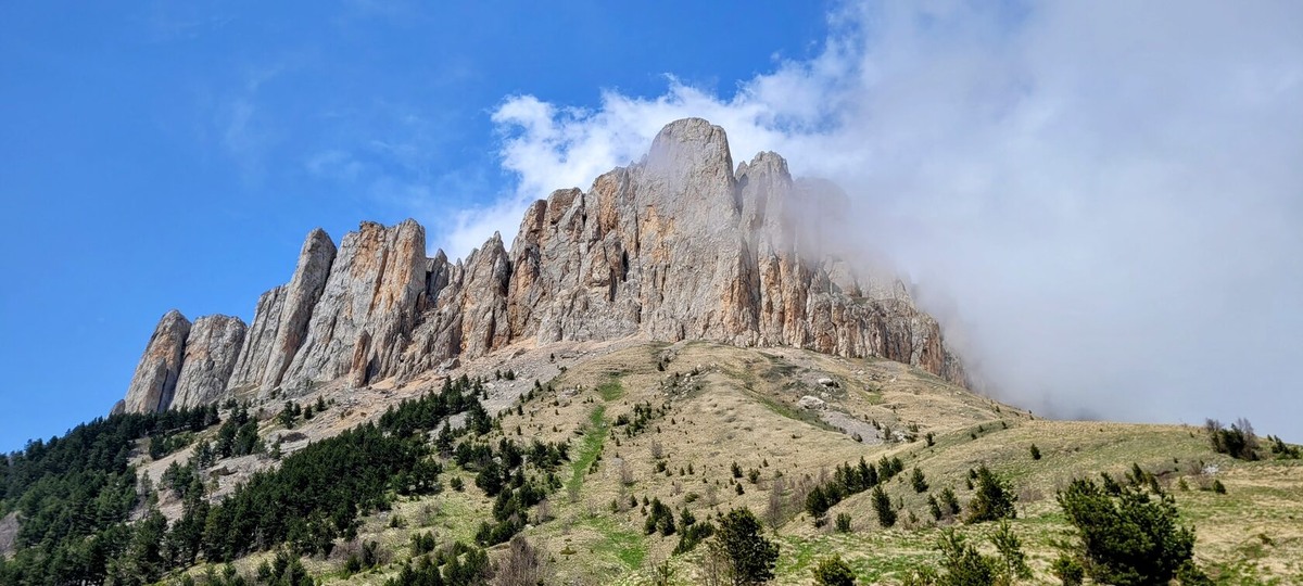 Фотография взята из источника yandex.ru