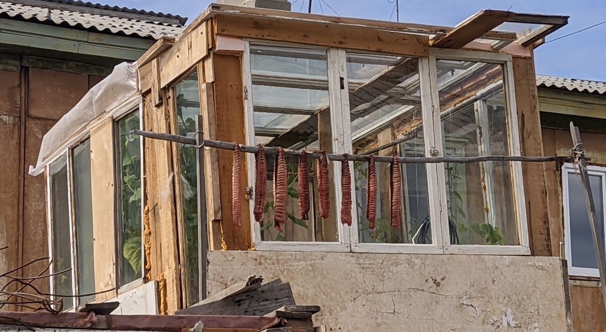 Юкола на фоне теплички