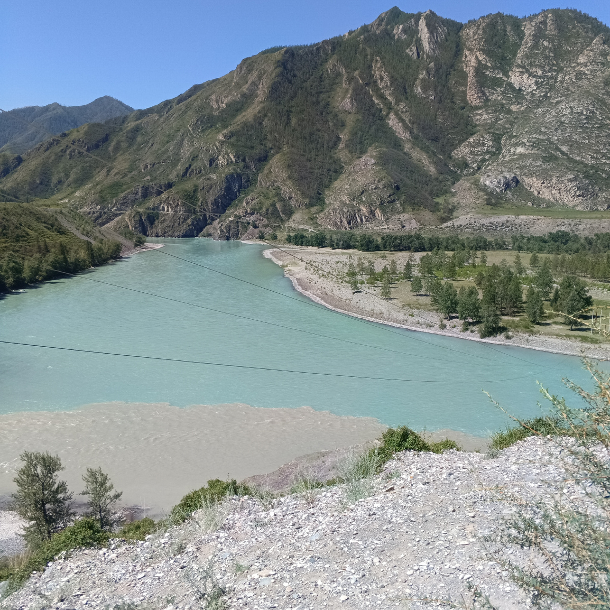 Фото автора. Слияние двух рек, Чуи и Катуни 💫