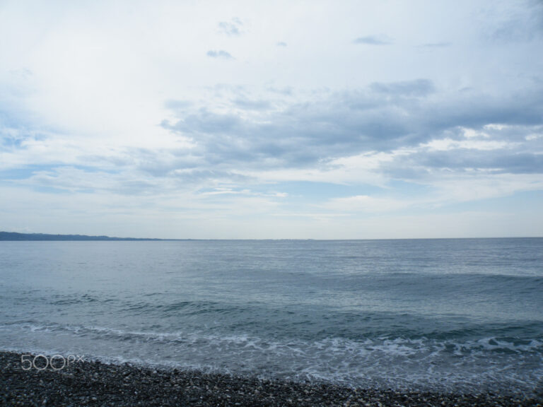    Фото: wiki commons/Rodrigo.Argenton/CC0 1.0 Анастасия Мишкина