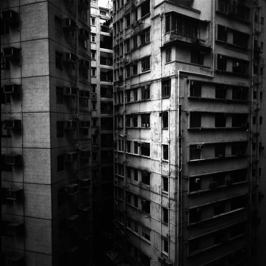 Изображение взято из открытых источников интернета. 