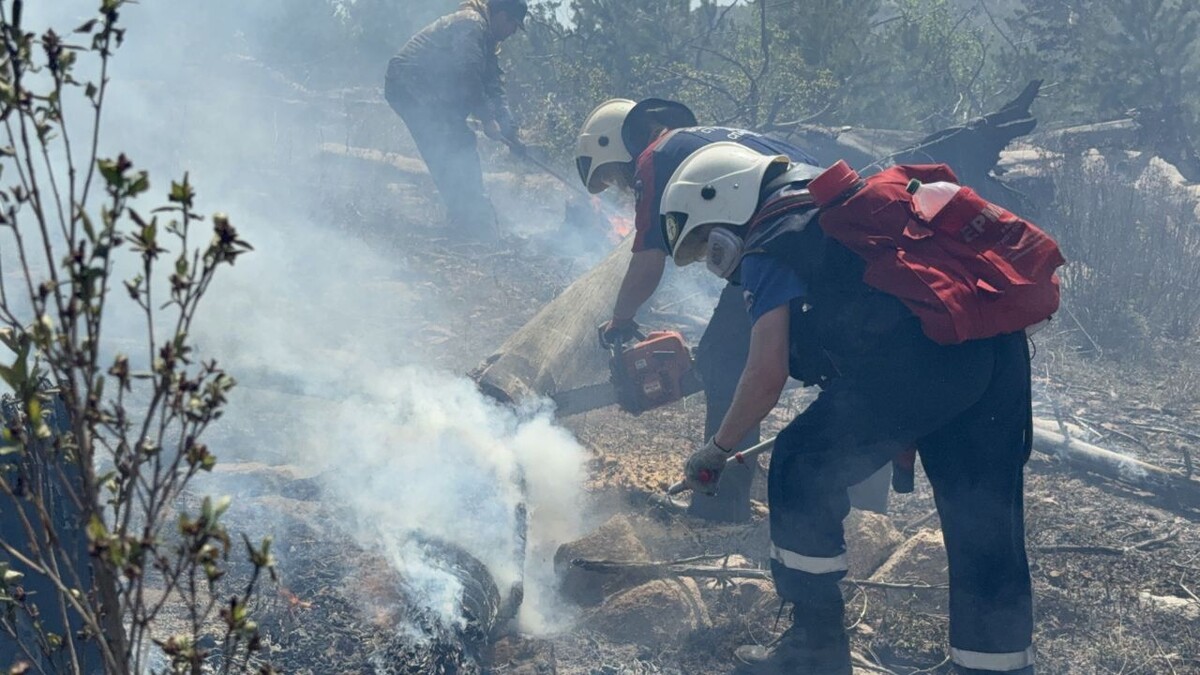    Фото: Пресс-служба правительства Забайкалья