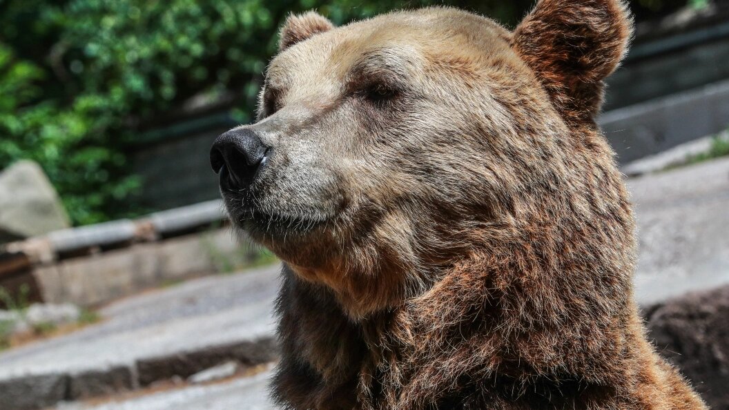    Bulkin Sergey/news.ru/Globallookpress