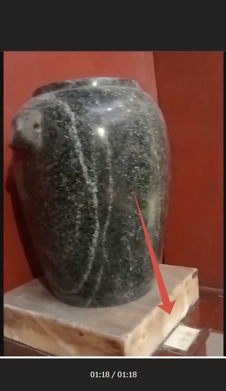 Скрин из видео М. Солдатова