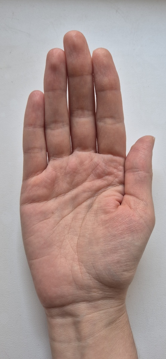 Фото с моего канала. 