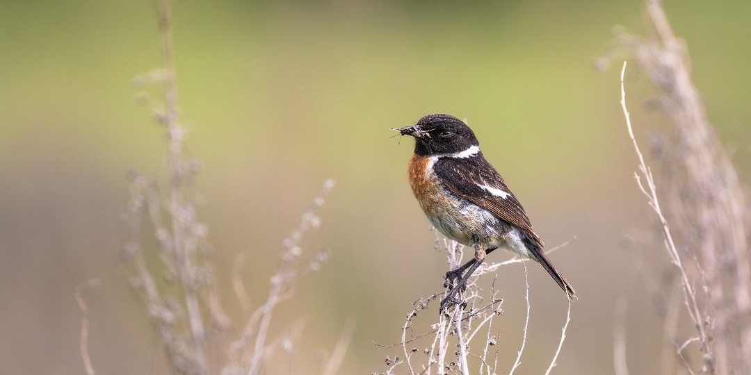 Любовь и уважение к самой маленькой жизни - лучшее проявление патриотизма