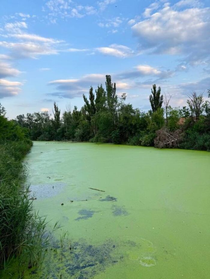 Источник фото: Соцсети