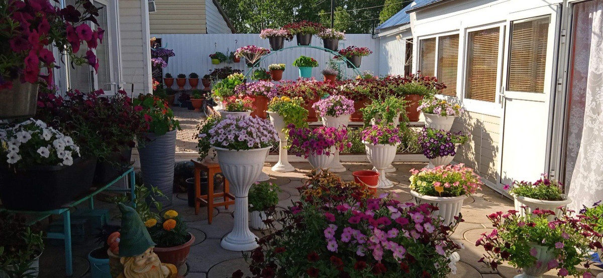 1.	фото Валентины Плохих