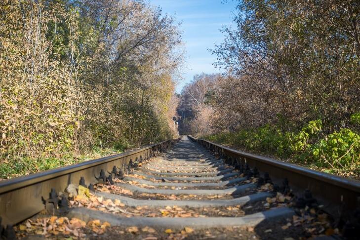    Фото Андрея Заржецкого