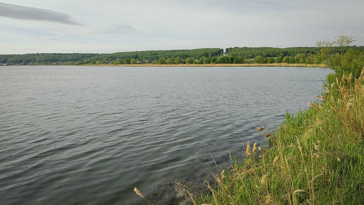     Источник: 1MI