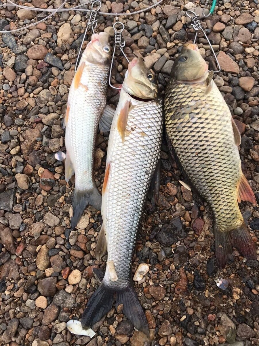     Источник: Улов25