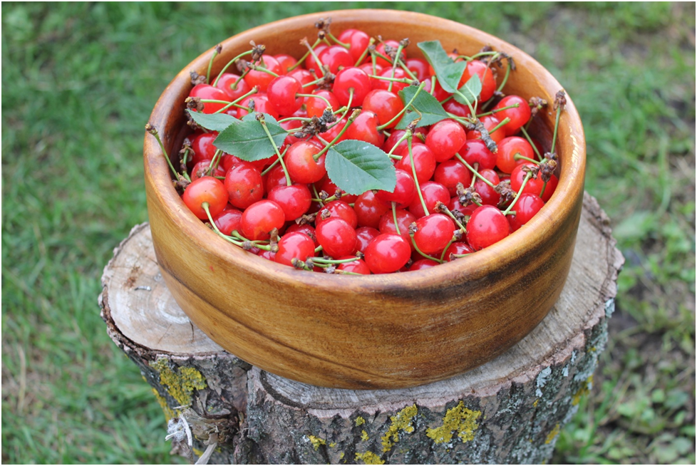 Личное фото автора.