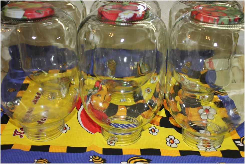 Личное фото автора.