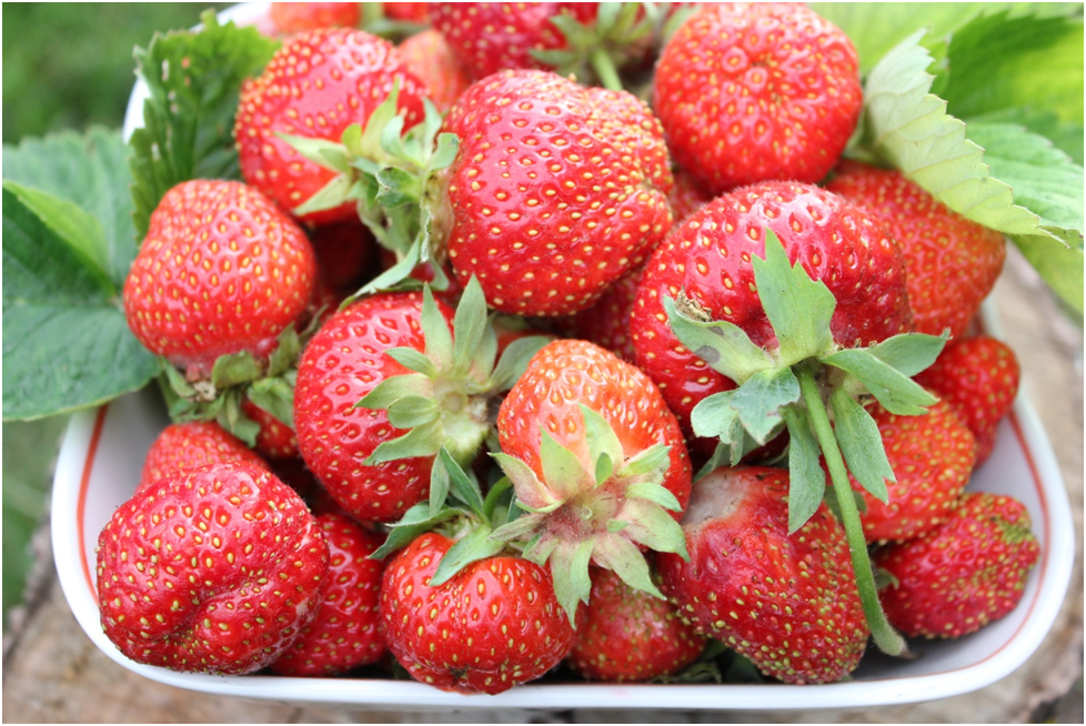 Личное фото автора.