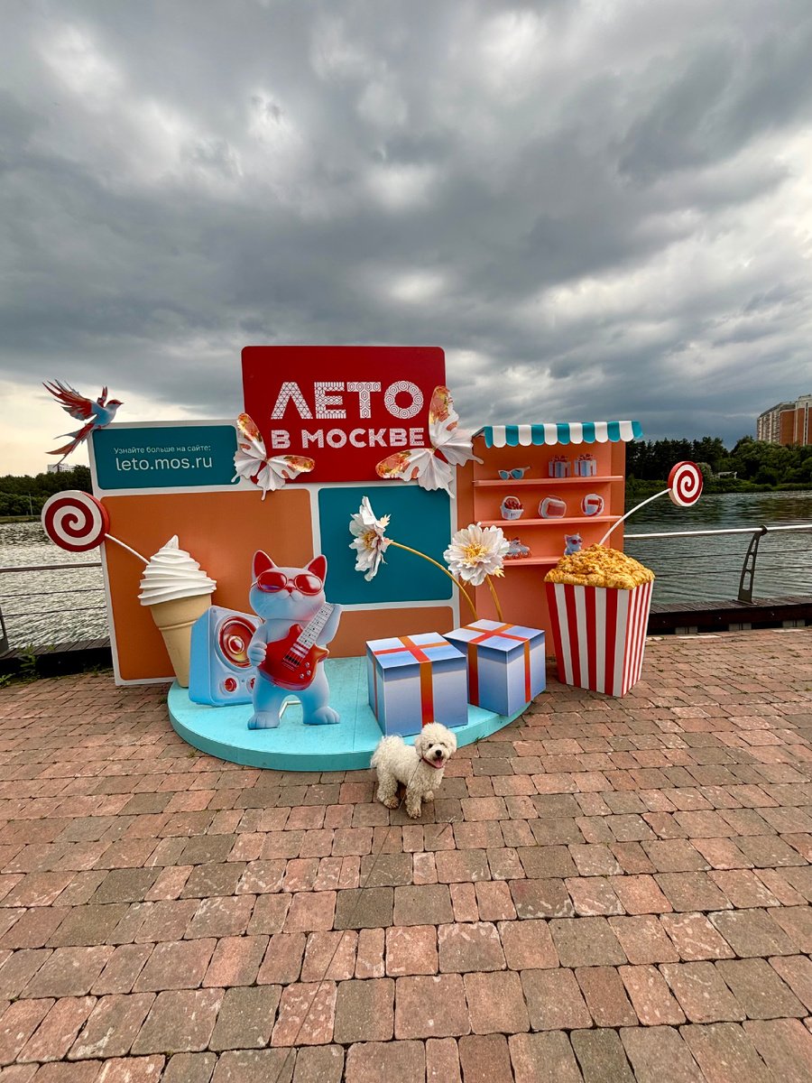 Небо предупреждало 