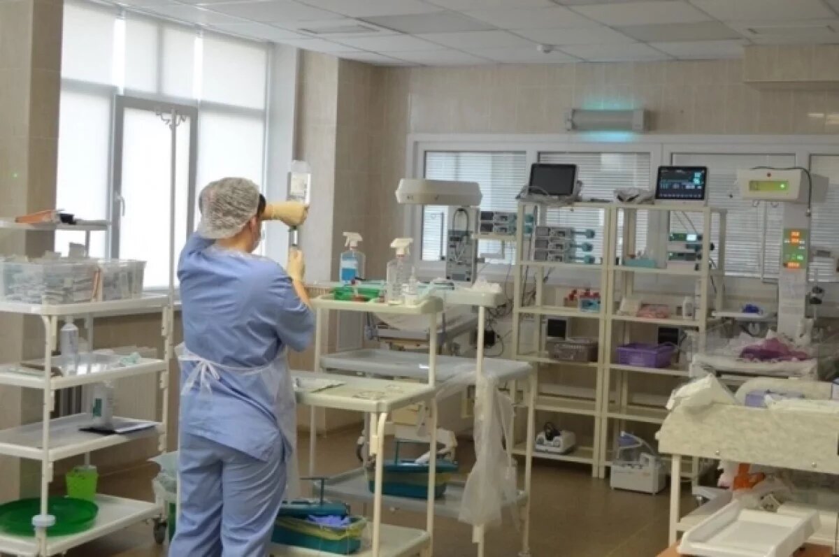    В Ижевске 4-летний мальчик попал в реанимацию после укусов двух гадюк